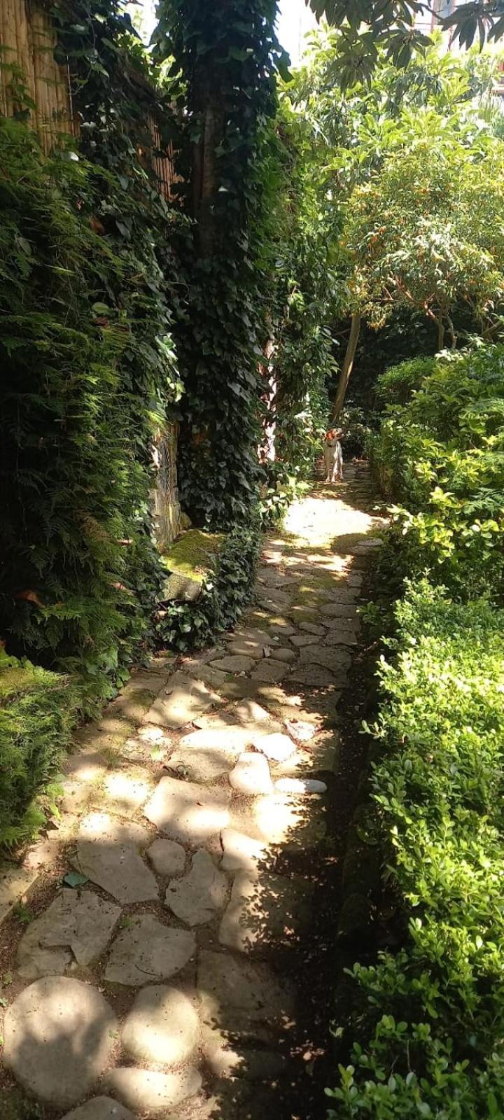 L'Antica Dimora Villa Meta Exterior photo